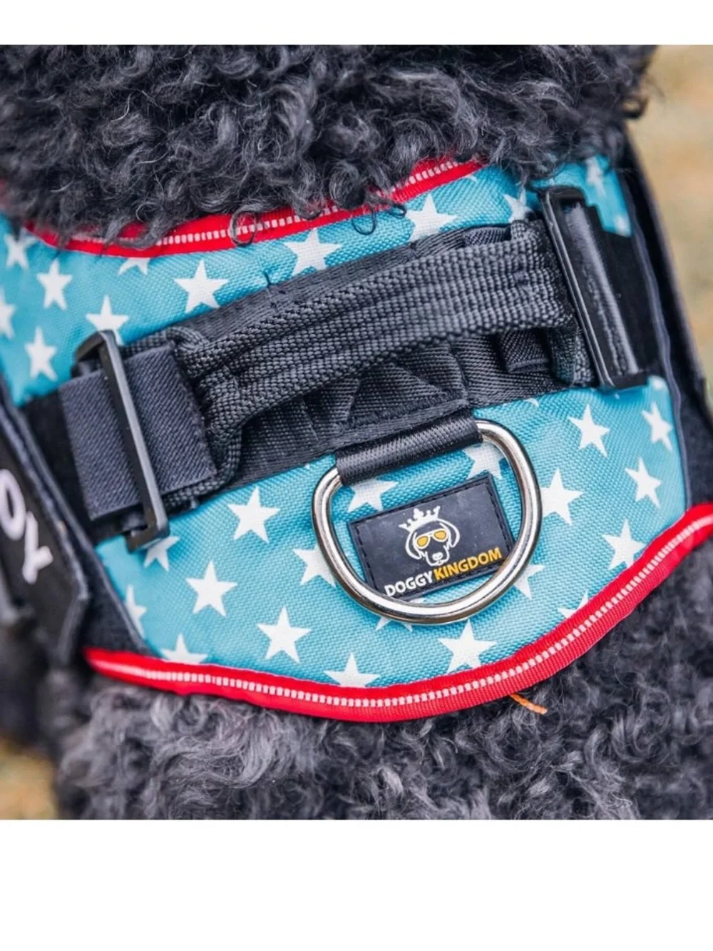 DoggyKingdom Camo Reflective No-Pull Harness - Green Camo size Small